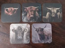 Merkloos Landelijke Viltjes Schotse Hooglanders - Voordeelset Met 10 Stuks - Onderzetters Met Vochtabsorberend Viltkarton